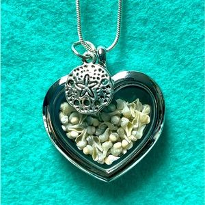 Beach Necklace! Handmade, silver plated tiny shell necklace w sand dollar charm.